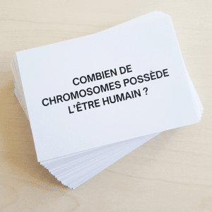 Flashcards pour réviser le DNB